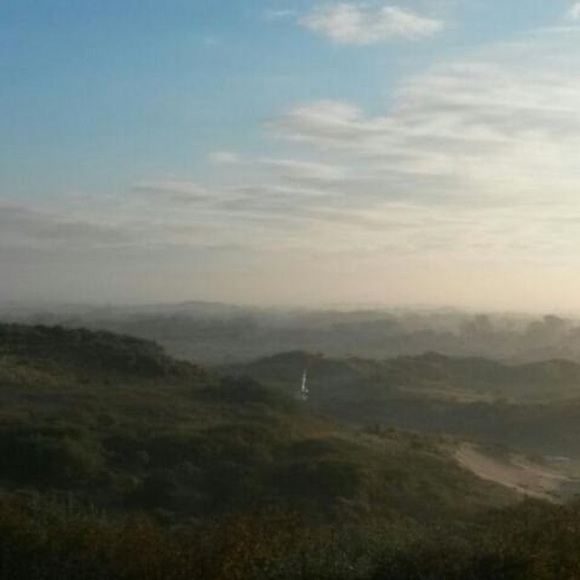 Meet your Posher, Pukysand - Picture 1 of 1